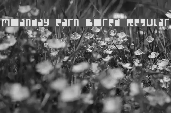 Moanday earn Bored Regular Font examples