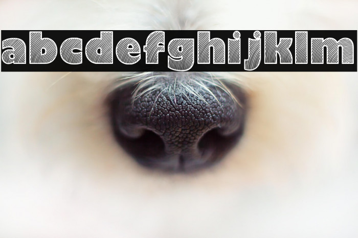 Moaren Regular Example 1