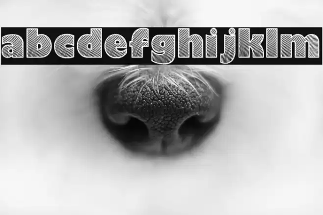 Moaren Regular Font examples