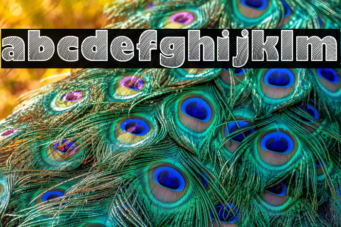 Moaren Regular Example 3