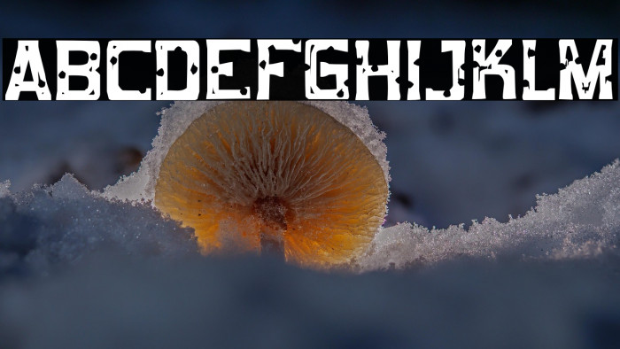 MobConcrete-Regular Example 2