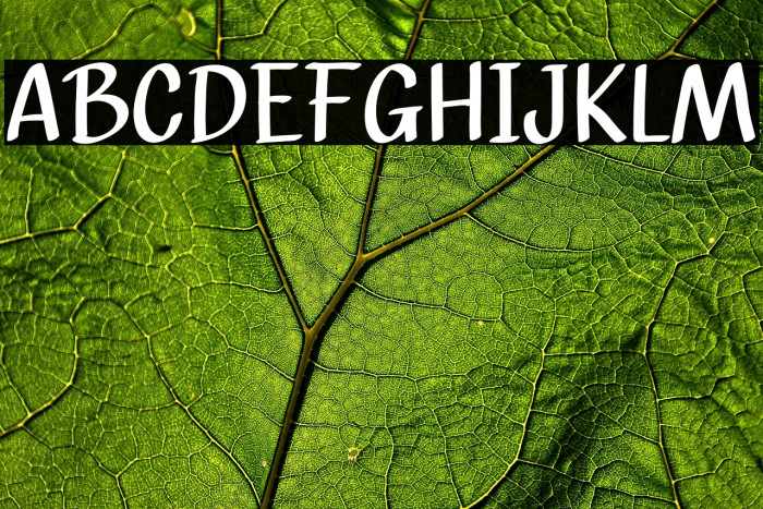 Mobil Cartoon Example 1