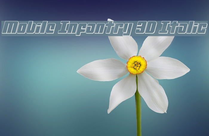 Mobile Infantry 3D Italic Example 1