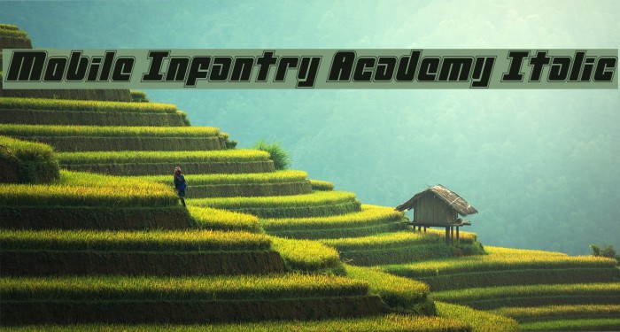 Mobile Infantry Academy Italic Font examples