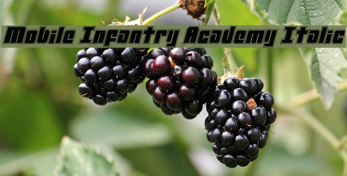 Mobile Infantry Academy Italic Font examples