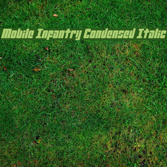 Mobile Infantry Condensed Italic Example 2