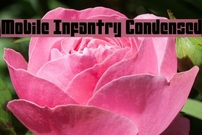 Mobile Infantry Condensed Font examples