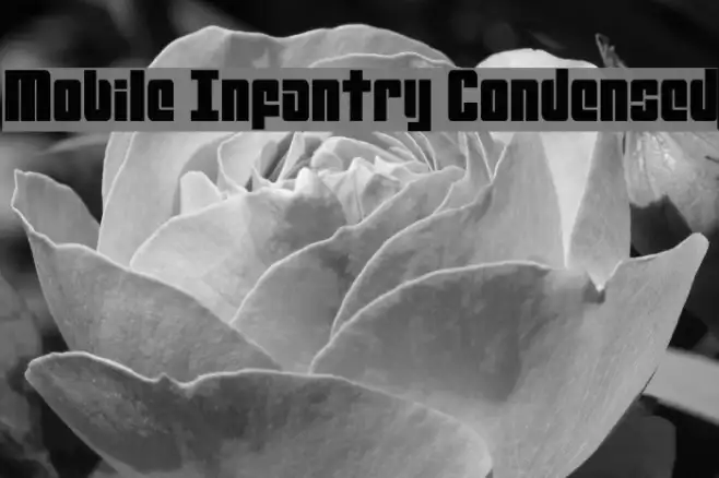 Mobile Infantry Condensed Example 2