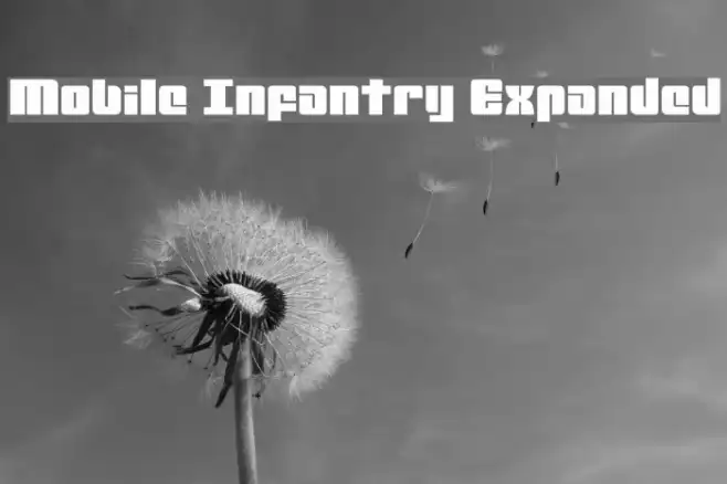 Mobile Infantry Expanded Example 2