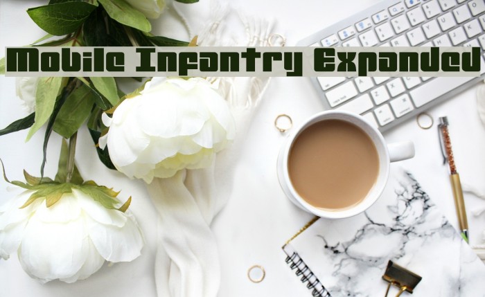 Mobile Infantry Expanded Font examples
