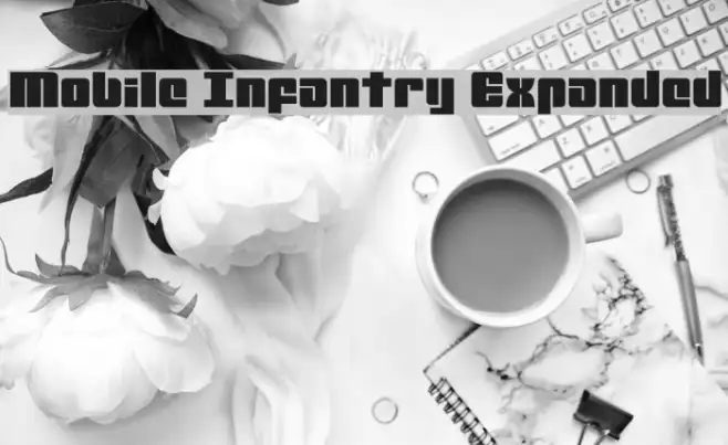 Mobile Infantry Expanded Example 3
