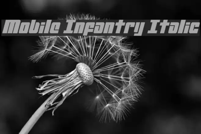 Mobile Infantry Italic Font examples