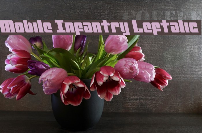 Mobile Infantry Leftalic Font examples