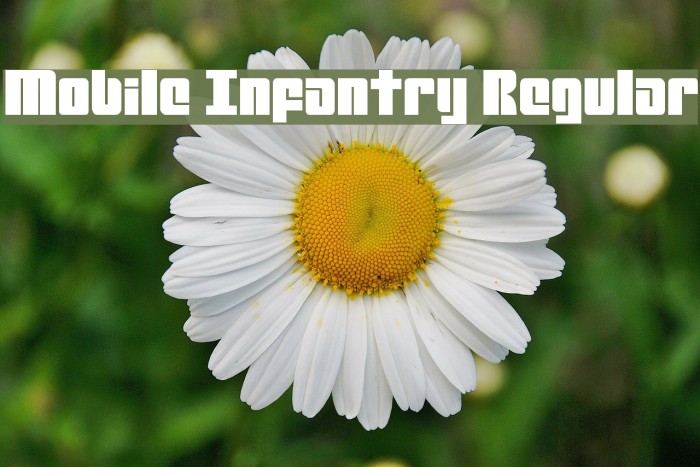 Mobile Infantry Regular Font examples