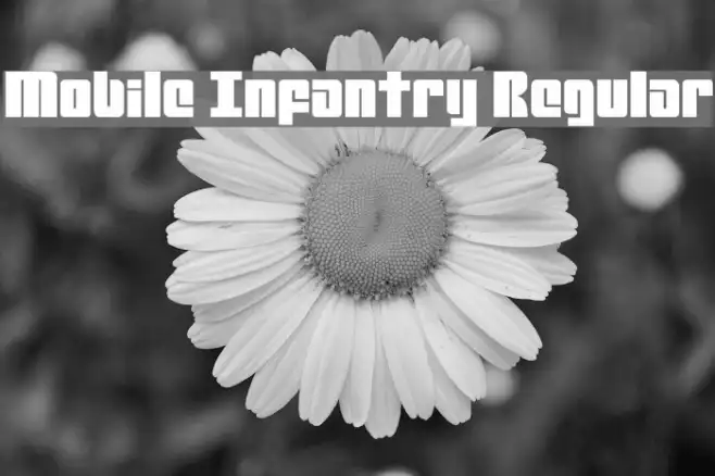 Mobile Infantry Regular Example 2