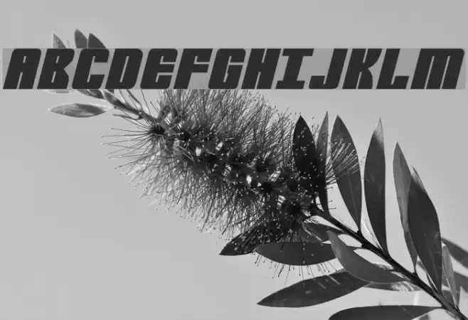 Mobile Infantry Font examples