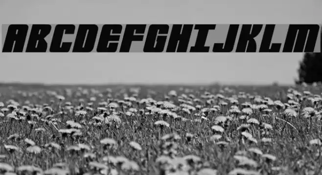 Mobile Infantry Font examples