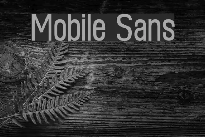 Mobile Sans Example 1