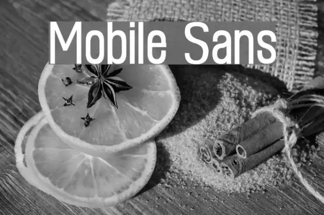 Mobile Sans Example 3