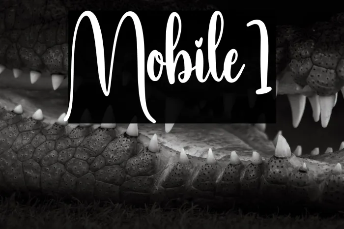 Mobile1 Example 3