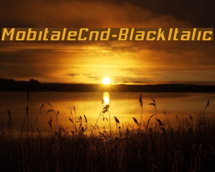 MobitaleCnd-BlackItalic Font examples