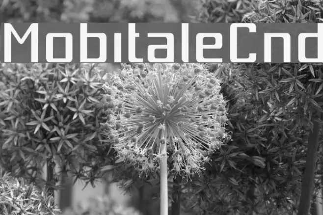 MobitaleCnd Example 1