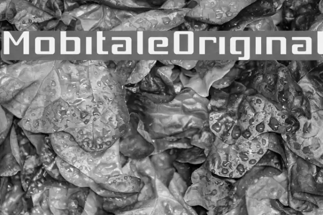MobitaleOriginal Font examples