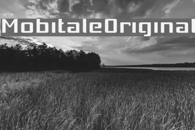 MobitaleOriginal Font examples
