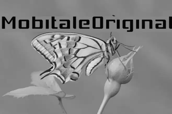 MobitaleOriginal Font examples