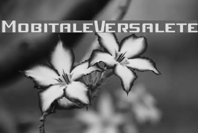 MobitaleVersalete Font examples