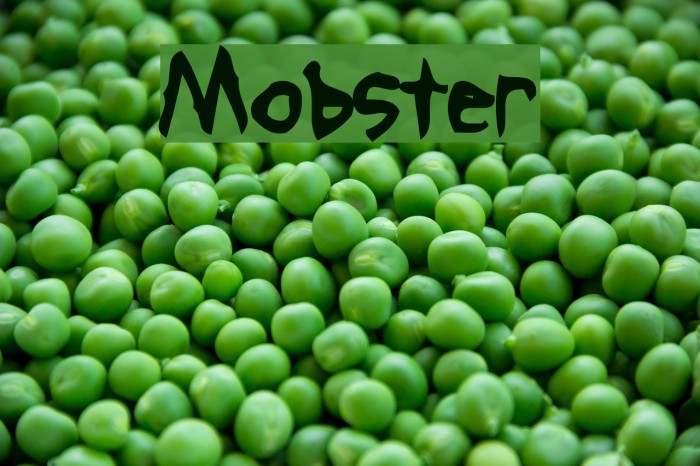 Mobster Font examples