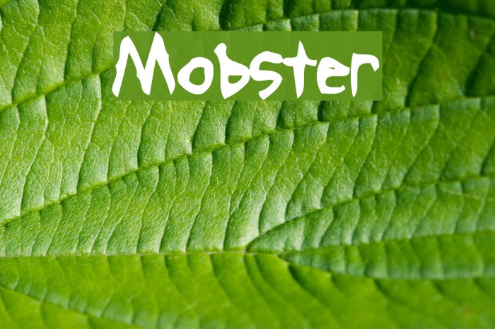 Mobster Font examples