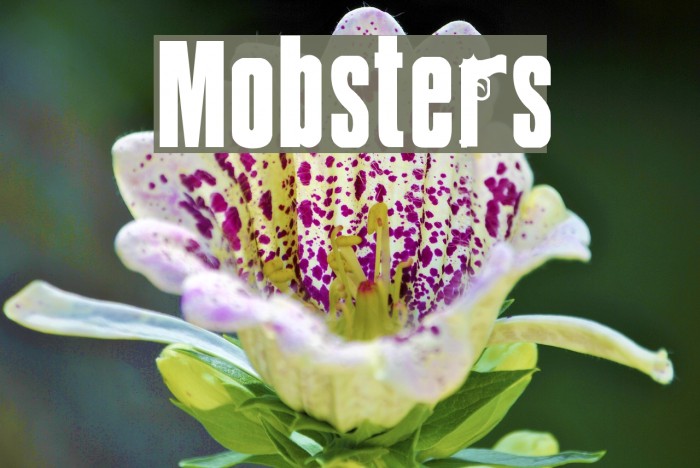 Mobsters Font examples