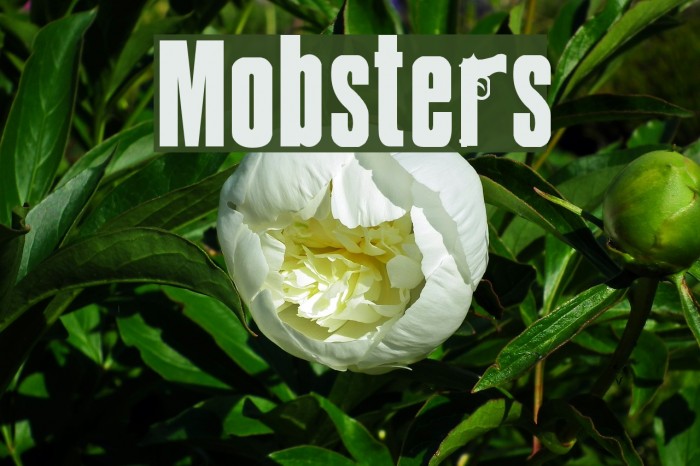 Mobsters Font examples