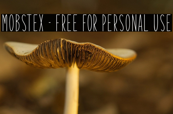 Mobstex - Free For Personal Use Example 3