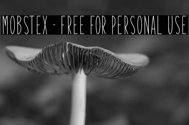 Mobstex - Free For Personal Use Font examples