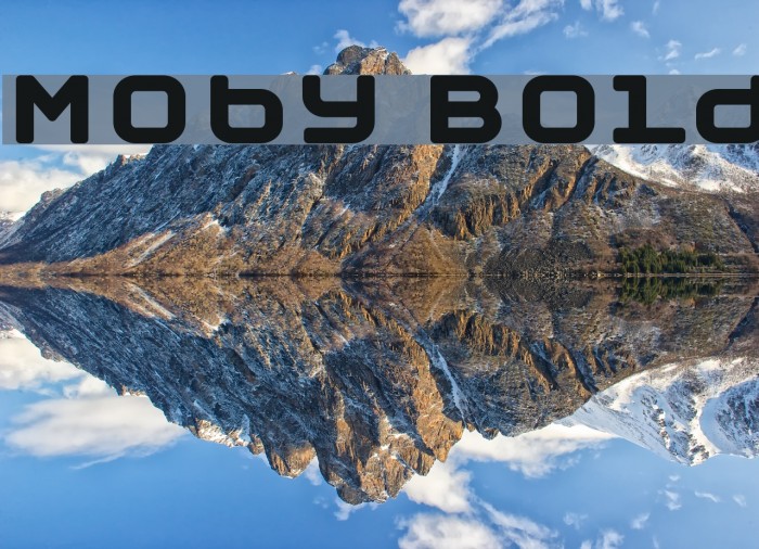 Moby Bold Caratteri examples