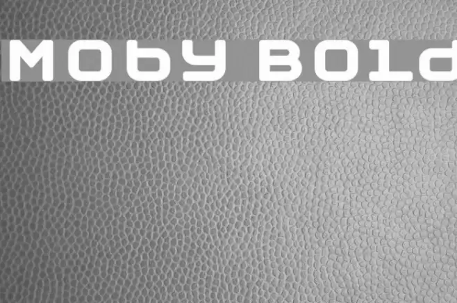 Moby Bold Шрифта examples