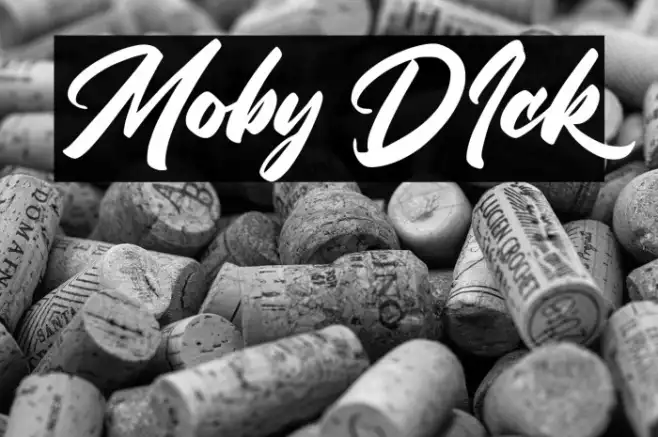 Moby DIck Example 1
