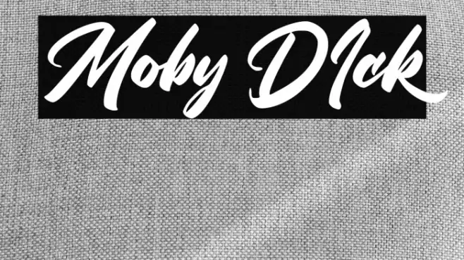 Moby DIck Example 2