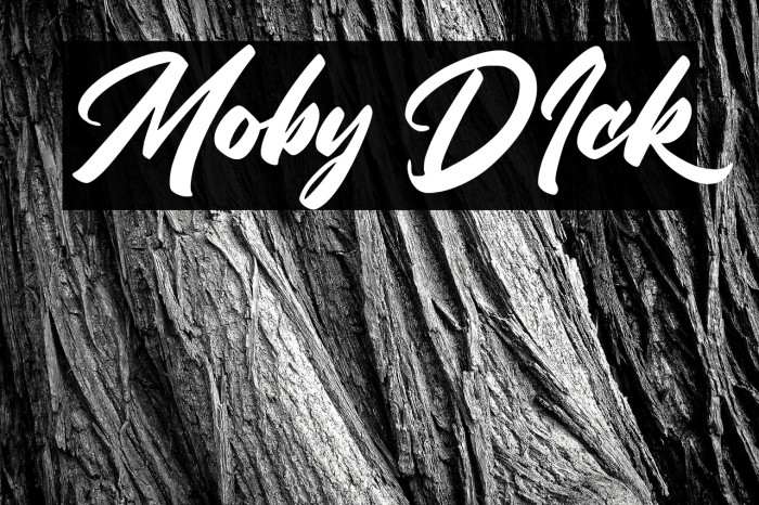 Moby DIck Example 3