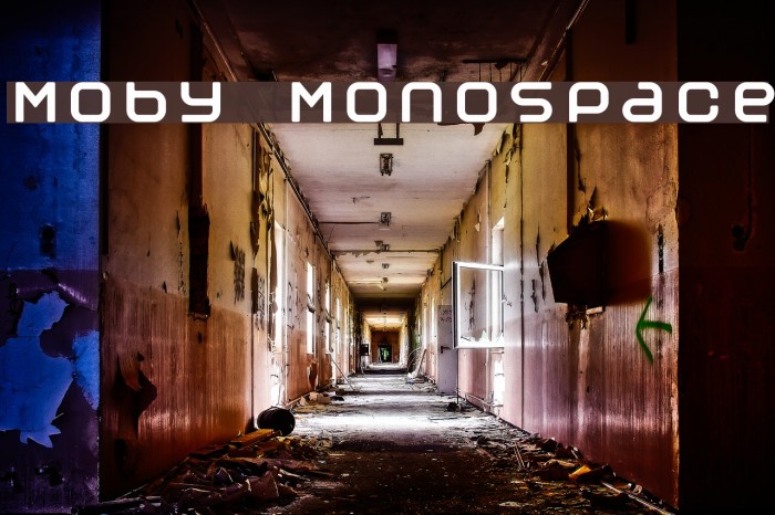 Moby Monospace Font examples