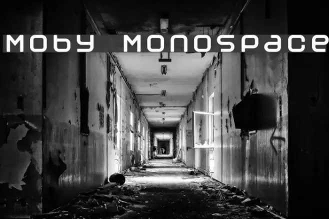 Moby Monospace Example 2