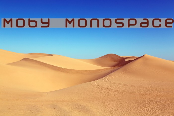 Moby Monospace Font examples