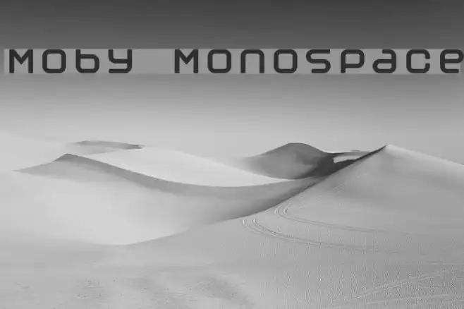 Moby Monospace Example 3