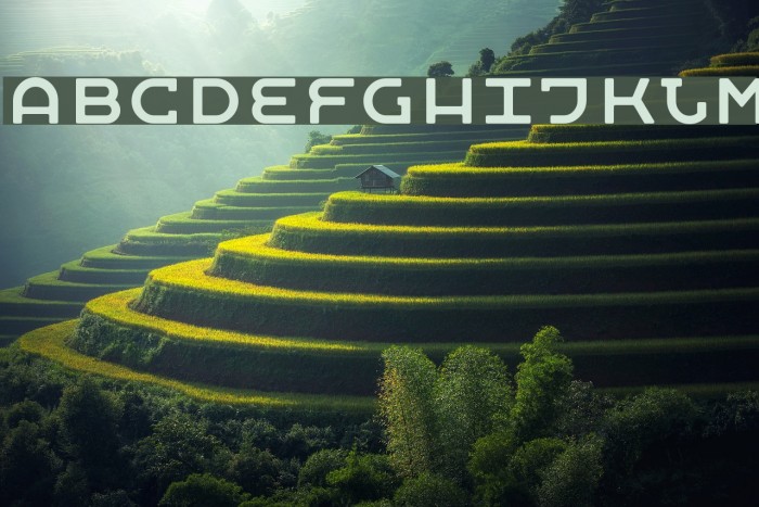 MobyRegular Font examples