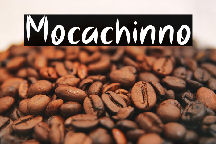 Mocachinno Example 1