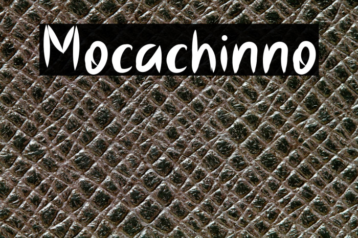Mocachinno Example 3