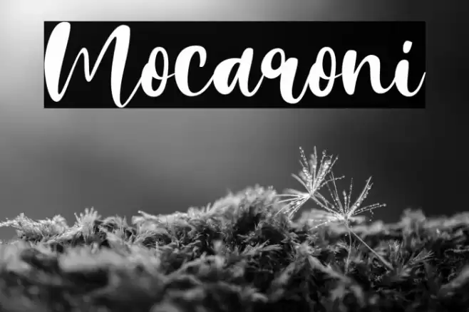 Mocaroni Caratteri examples