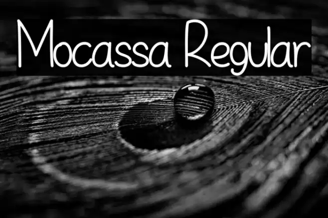 Mocassa Regular Font examples